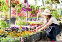 What You Need to Know about Starting a Miniature Garden Miniature Garden