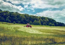 Your Shopping Choices and The Environment agriculture
