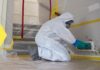 Process & Need Of Mold Remediation Mold Remediation