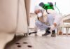 How to Control Pests Without Disrupting Your Organic Garden? pest control