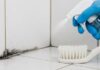 How Best to Treat Mould in Bathrooms and Kitchens in a Rental Treat Mould in Bathrooms and Kitchens
