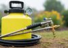 Choose Professional Pest Control for Persistent Infestations in Elgin Elgin pest control